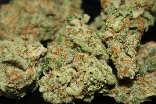 Midnight Express Marijuana Strain