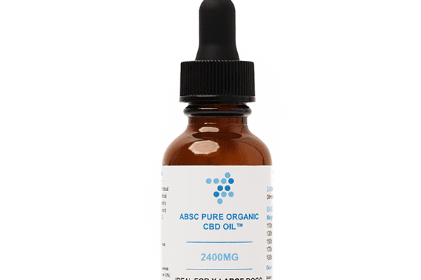 Top CBD Oils for Pets Comprehensive Review & Buyer’s Guide By Absc organics